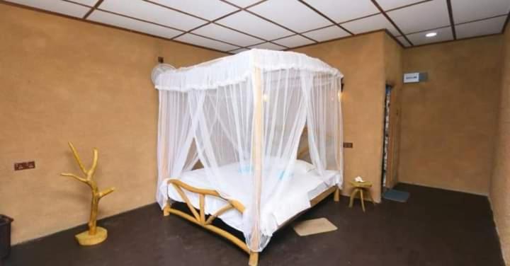 The Nirwana Cottage Procida Dış mekan fotoğraf